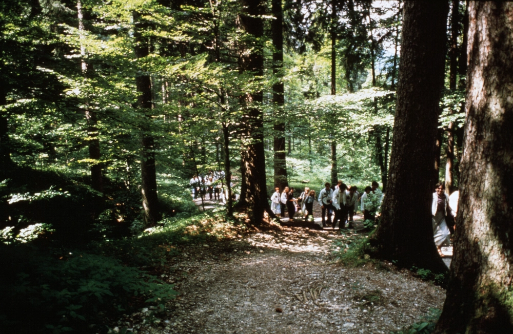 Black forest