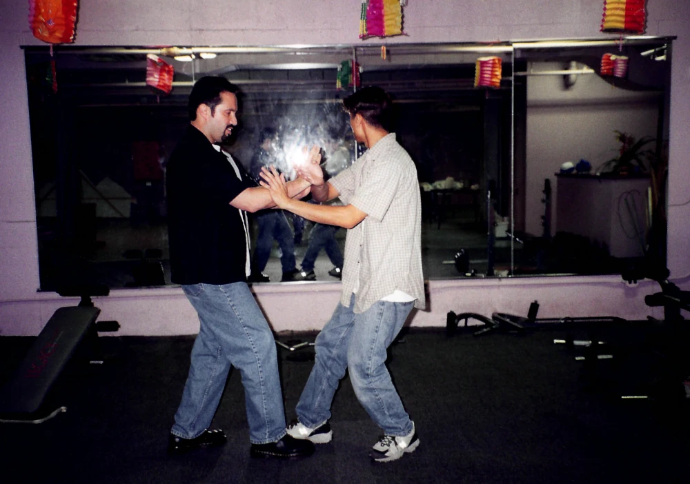 Kung Fu Lesson